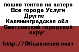    пошив тентов на катера - Все города Услуги » Другие   . Калининградская обл.,Светловский городской округ 